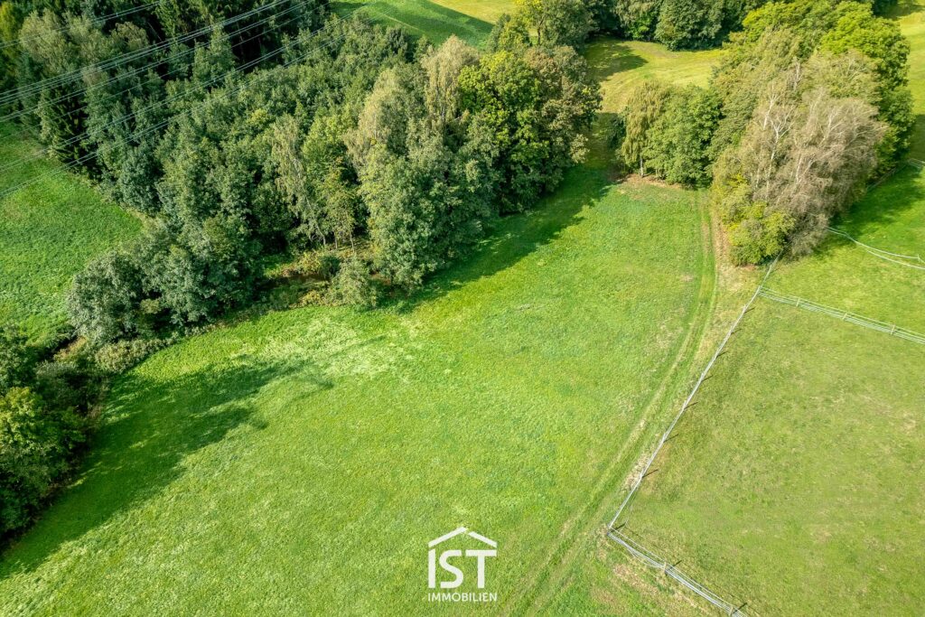 20260911-DJI_0489